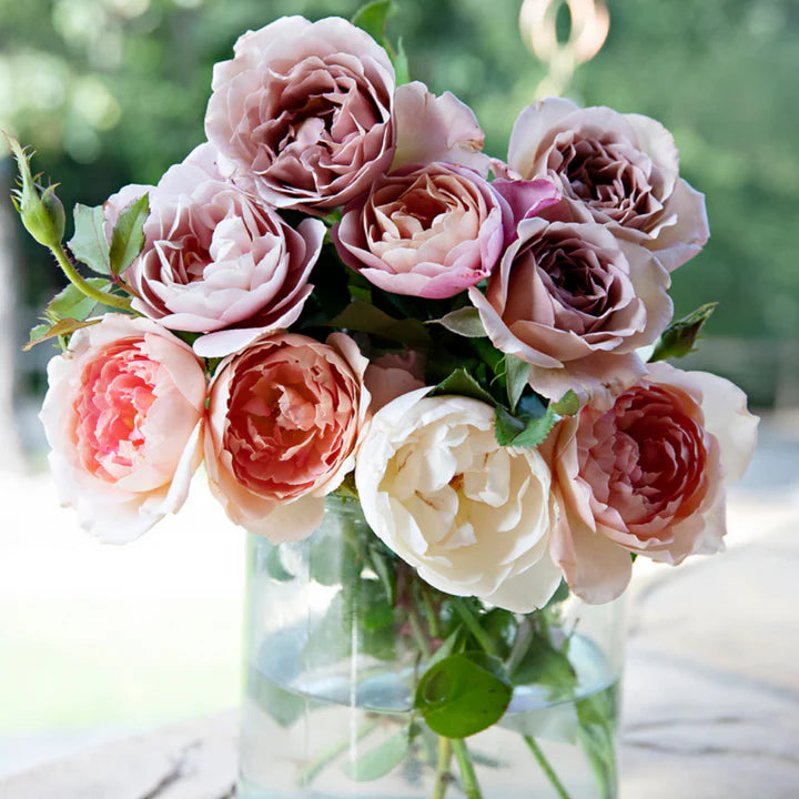 Mail Me Roses - Paint By Numbers