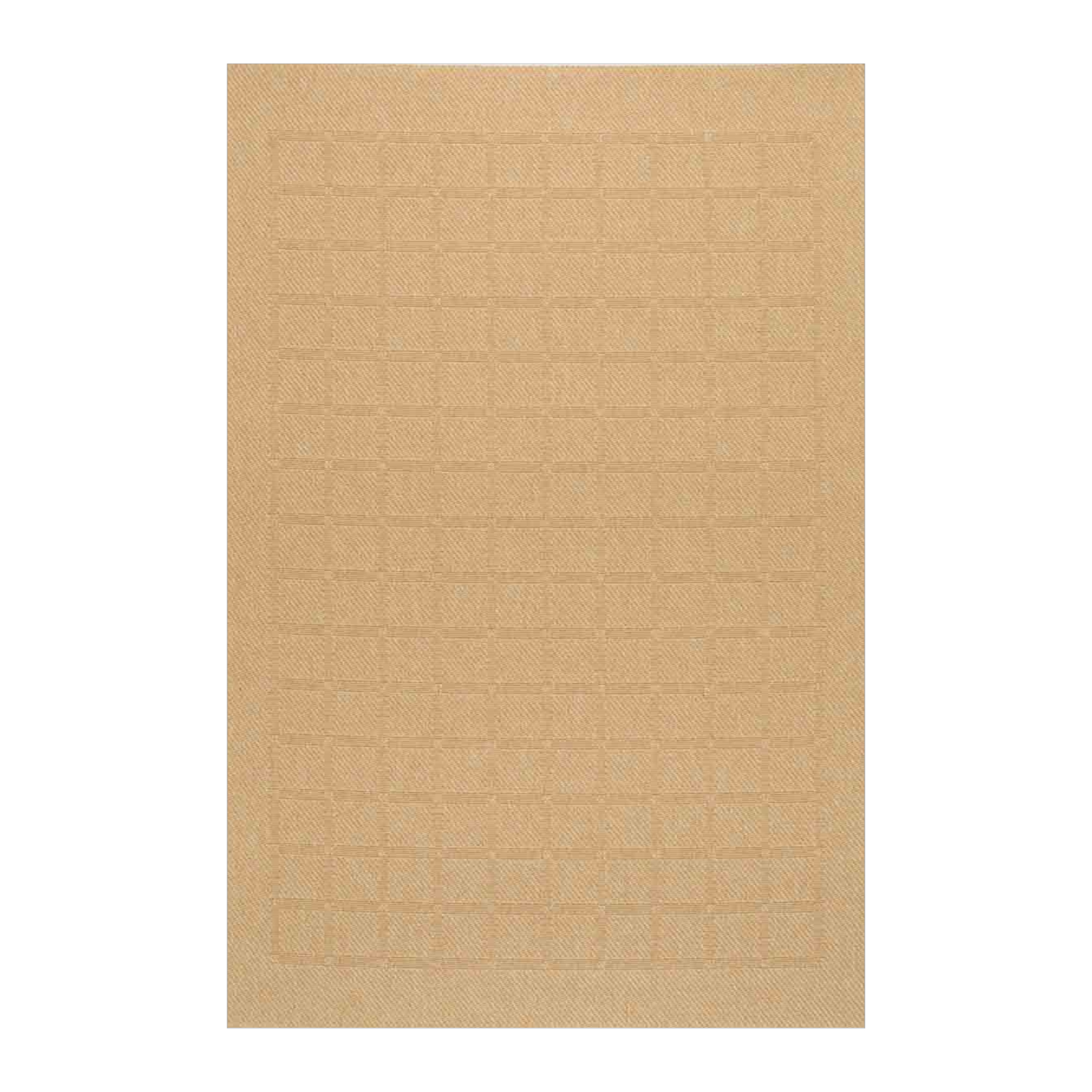 Alfombra Arusha Multi 6x8'