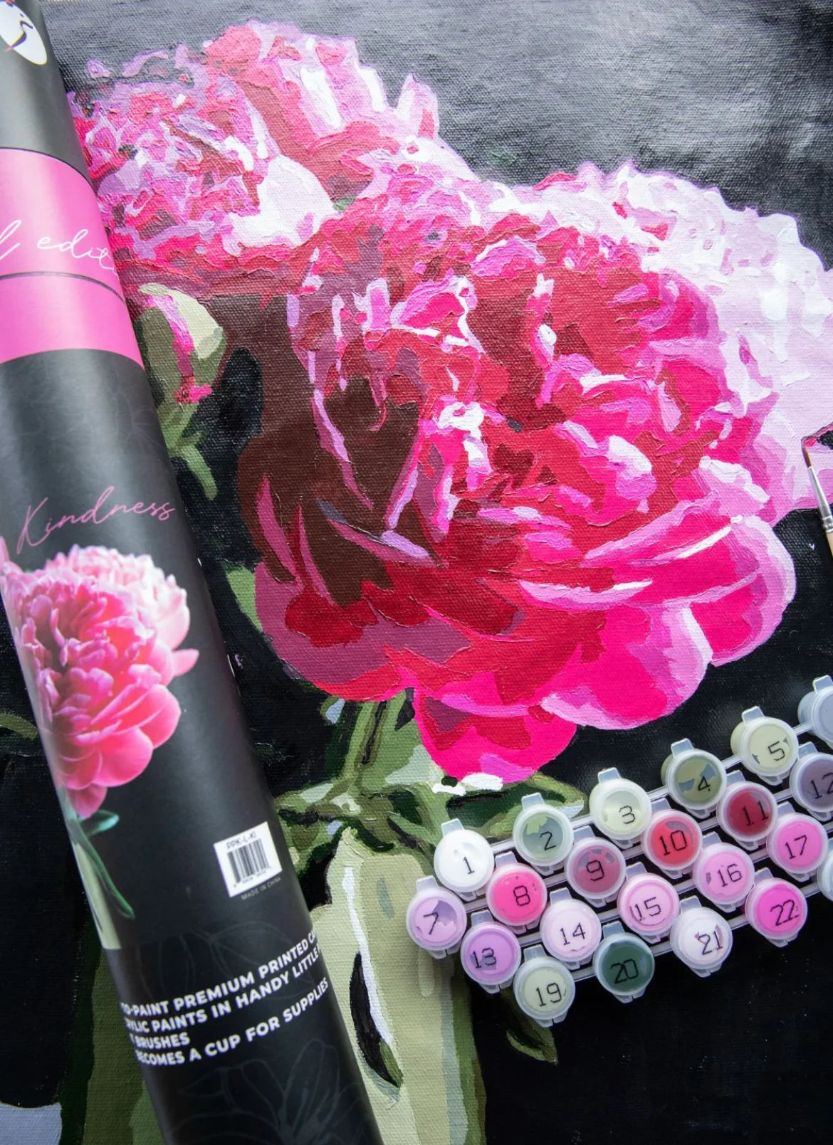 Picasso Rosa SET - Special Edition