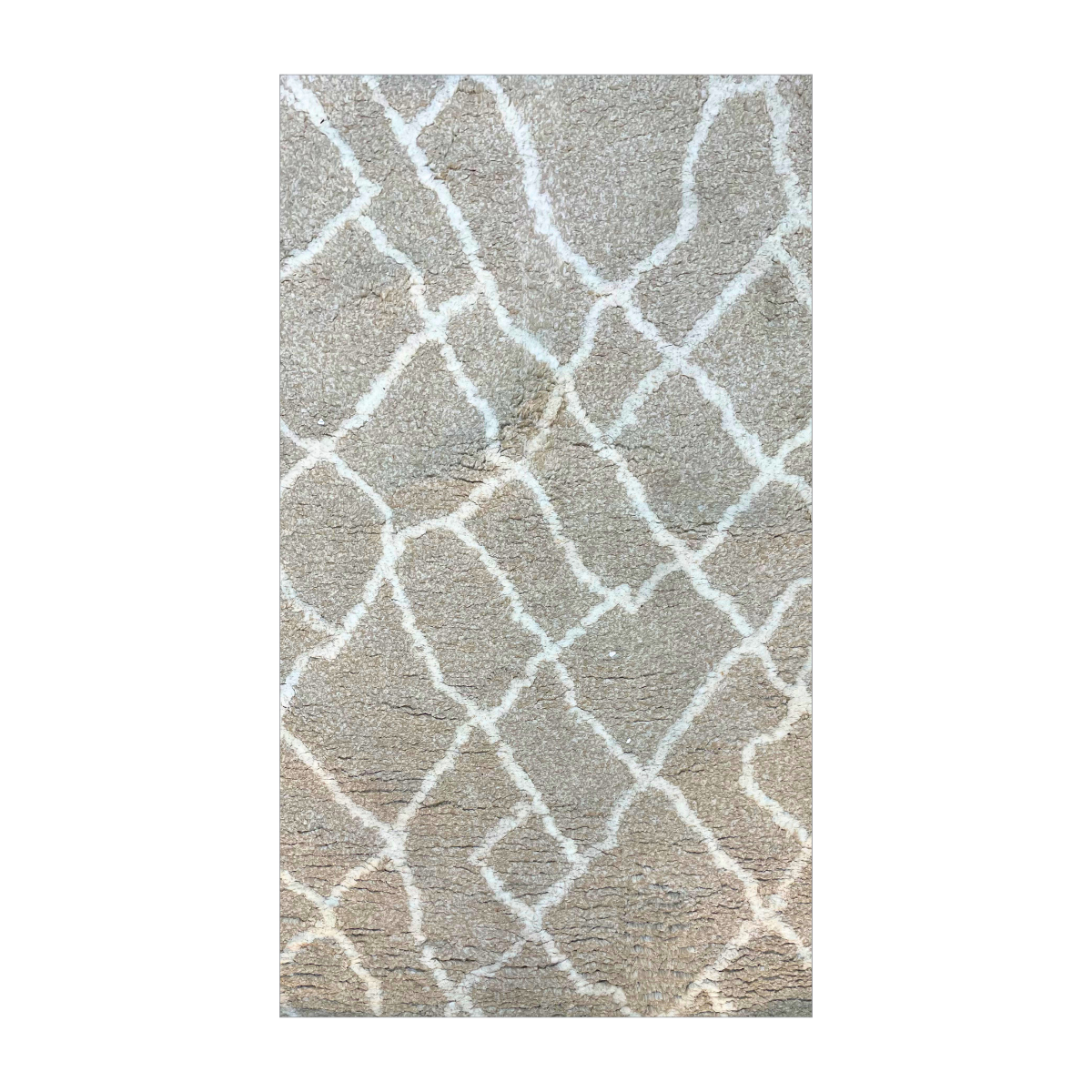 Alfombra 4x6' - Tangier Shag