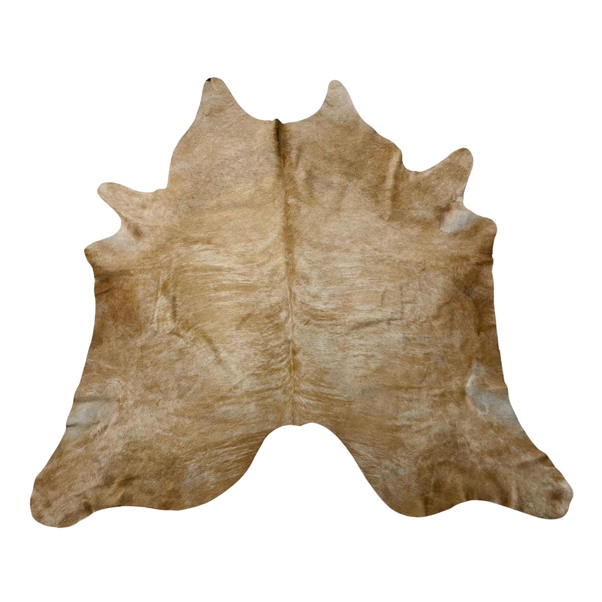 Alfombra COWHIDE - Grande