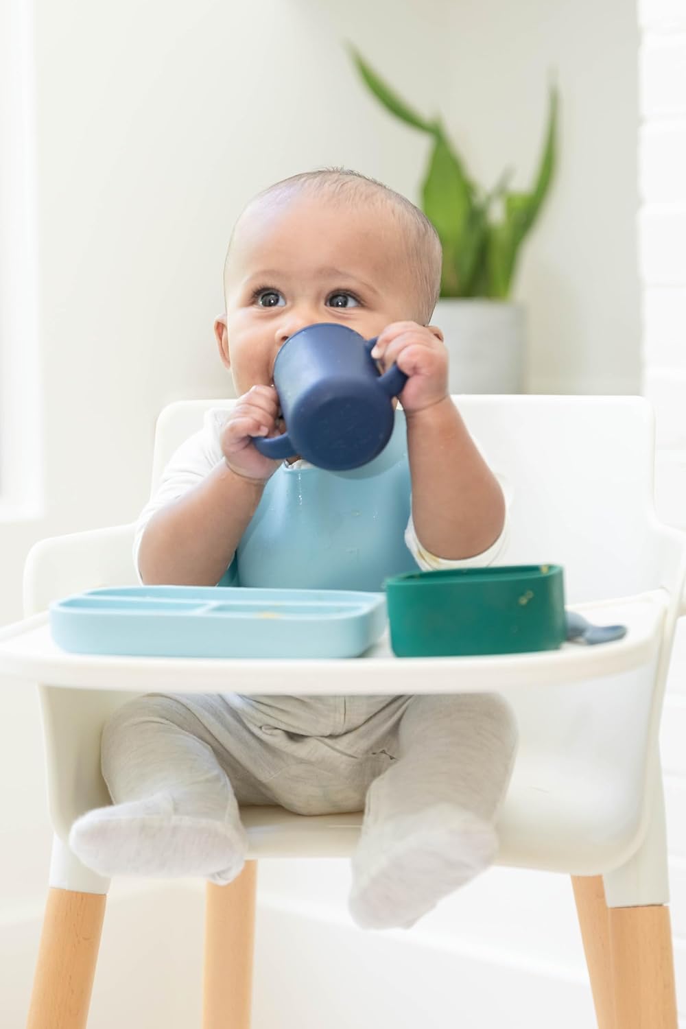 little bites shooting star